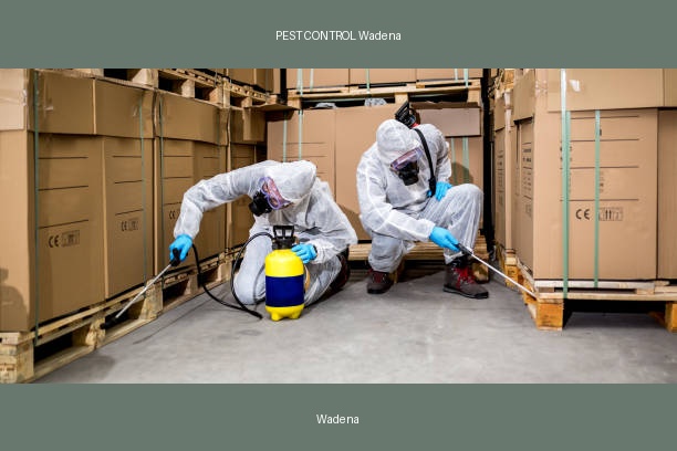 PEST CONTROL Wadena